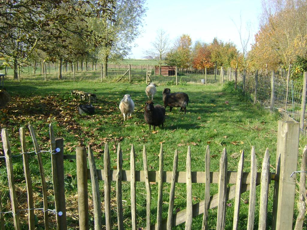 Gite Les Mineurs Zottegem Luaran gambar